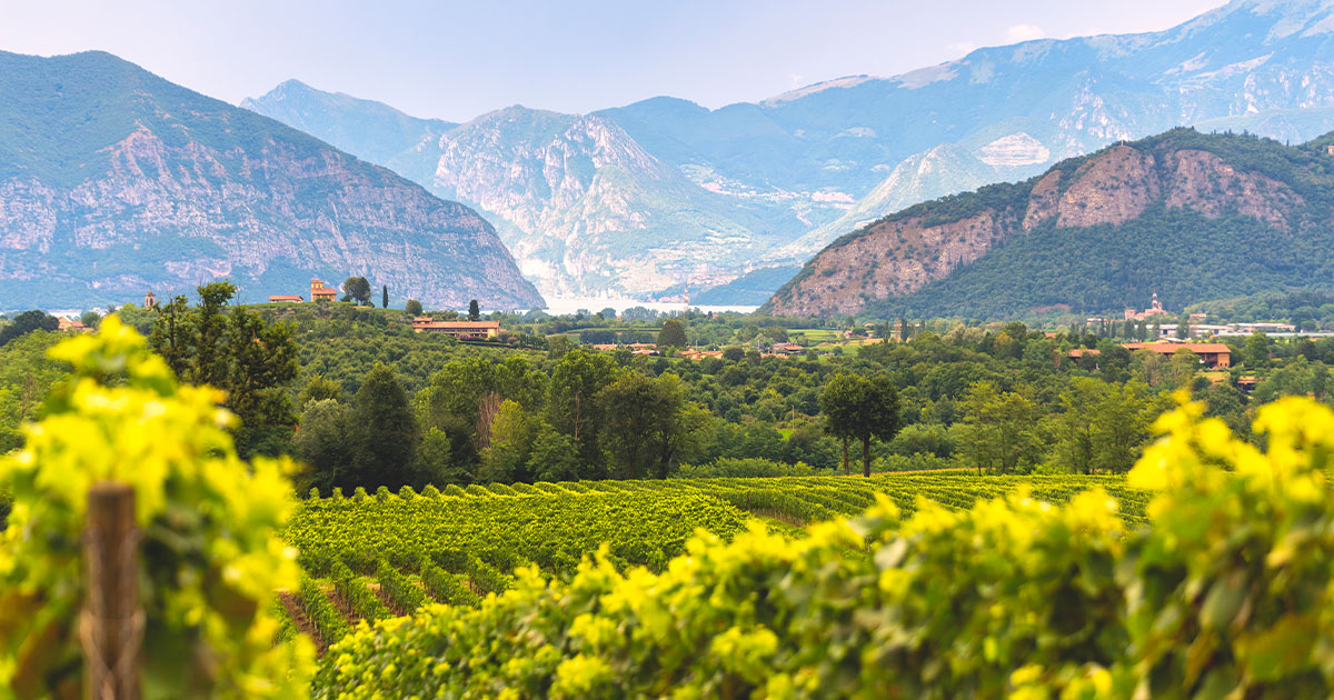 franciacorta-vigne-vino-collina-1200x630.jpg