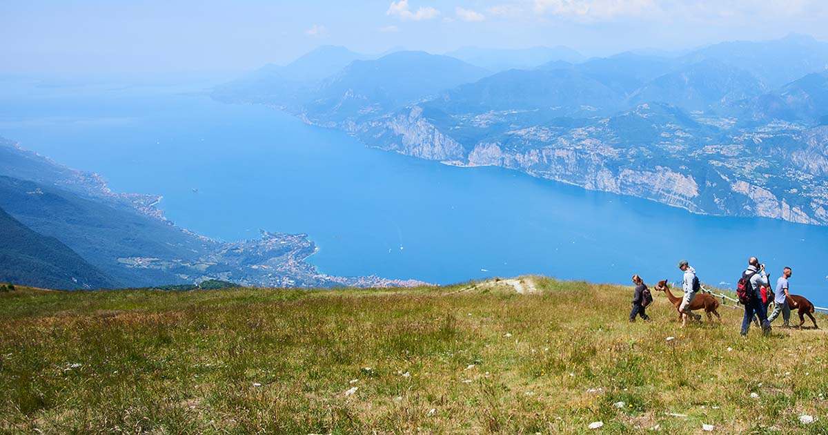 il-turista-lago-di-garda-monte-baldo-1200x630.jpg