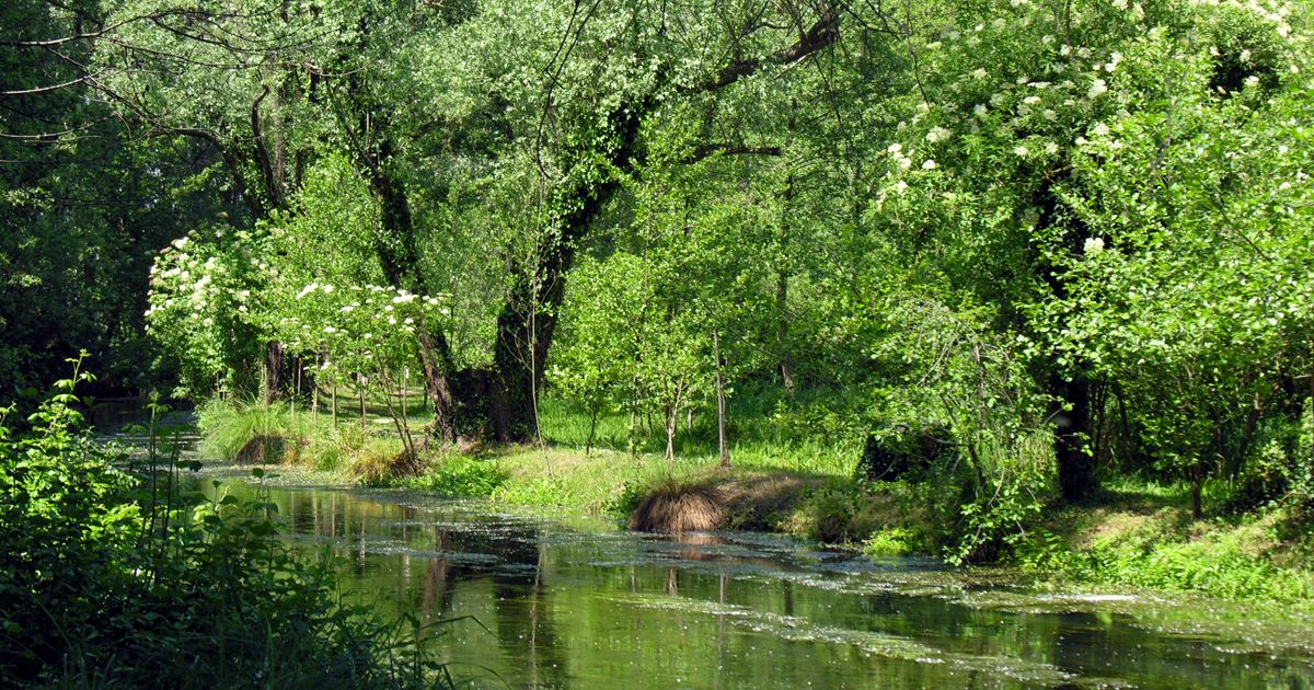 parco-naturale-regionale-del-fiume-sile-1200x630.jpg