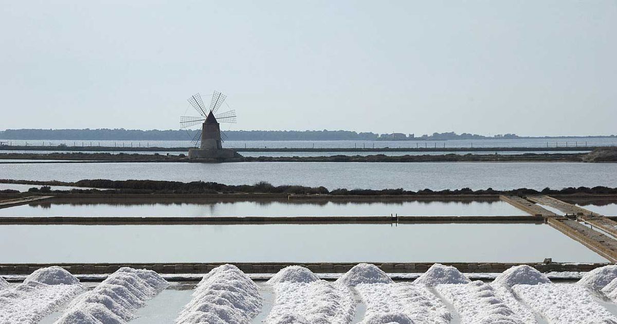 saline_di_trapani_-_raccolta_del_sale-1200x630.jpg