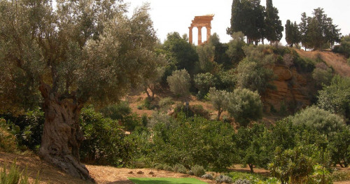 turista-italia-luoghi-da-visitare-agrigento-giardino_della_kolymbethra-1200x630.jpg